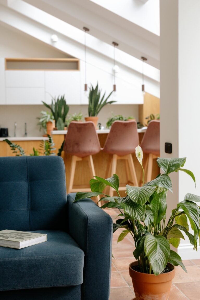 Como criar um cantinho cottagecore mesmo em um apartamento de 40m²